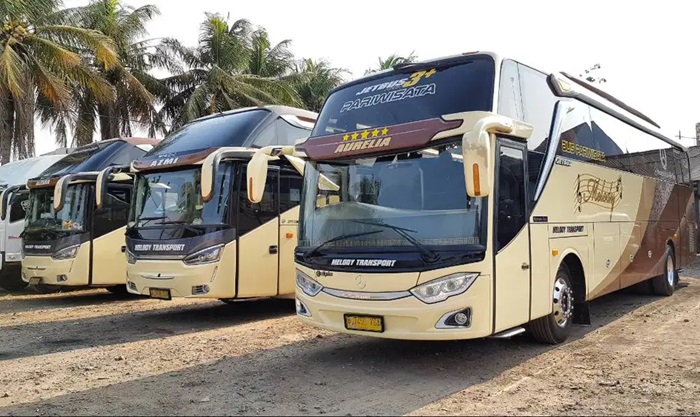 Jasa Sewa Bus Pariwisata Jakarta Terbaik Melody Transport